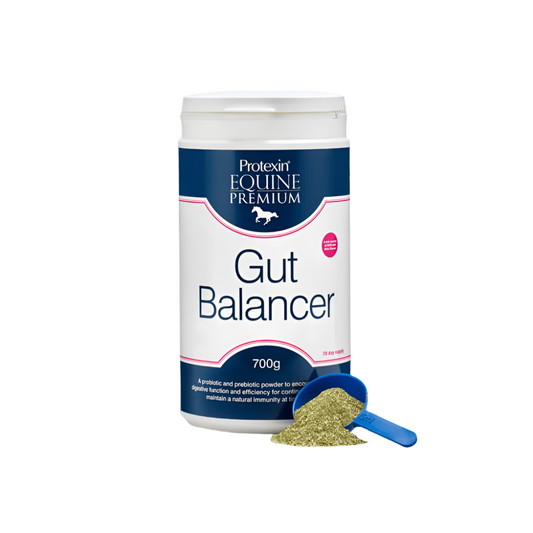GUT BALANCER-PROTEXIN EQUINE PREMIUM-PEP UK