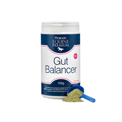 GUT BALANCER-PROTEXIN EQUINE PREMIUM-PEP UK