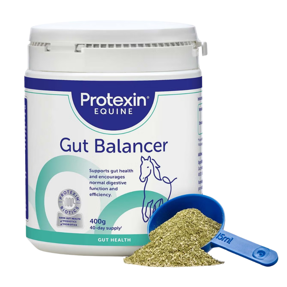 GUT BALANCER probiotic and prebiotic feed supplement for horses from Protexin Equine, 400g package with scoop.