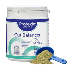 GUT BALANCER probiotic and prebiotic feed supplement for horses from Protexin Equine, 400g package with scoop.