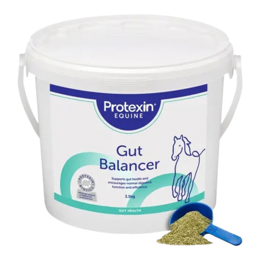 GUT BALANCER probiotic feed supplement for horses by Protexin Equine, promoting digestive health and nutrient utilization.