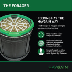 باحث عن القش - المملكة المتحدة