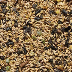 ENDURO SPEED horse feed mix featuring grains and nutrients for energy and performance.