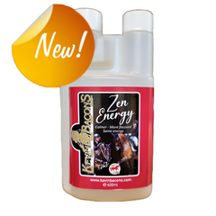 زين إنيرجي-400 مل-كي بي