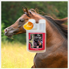 زين إنيرجي-400 مل-كي بي