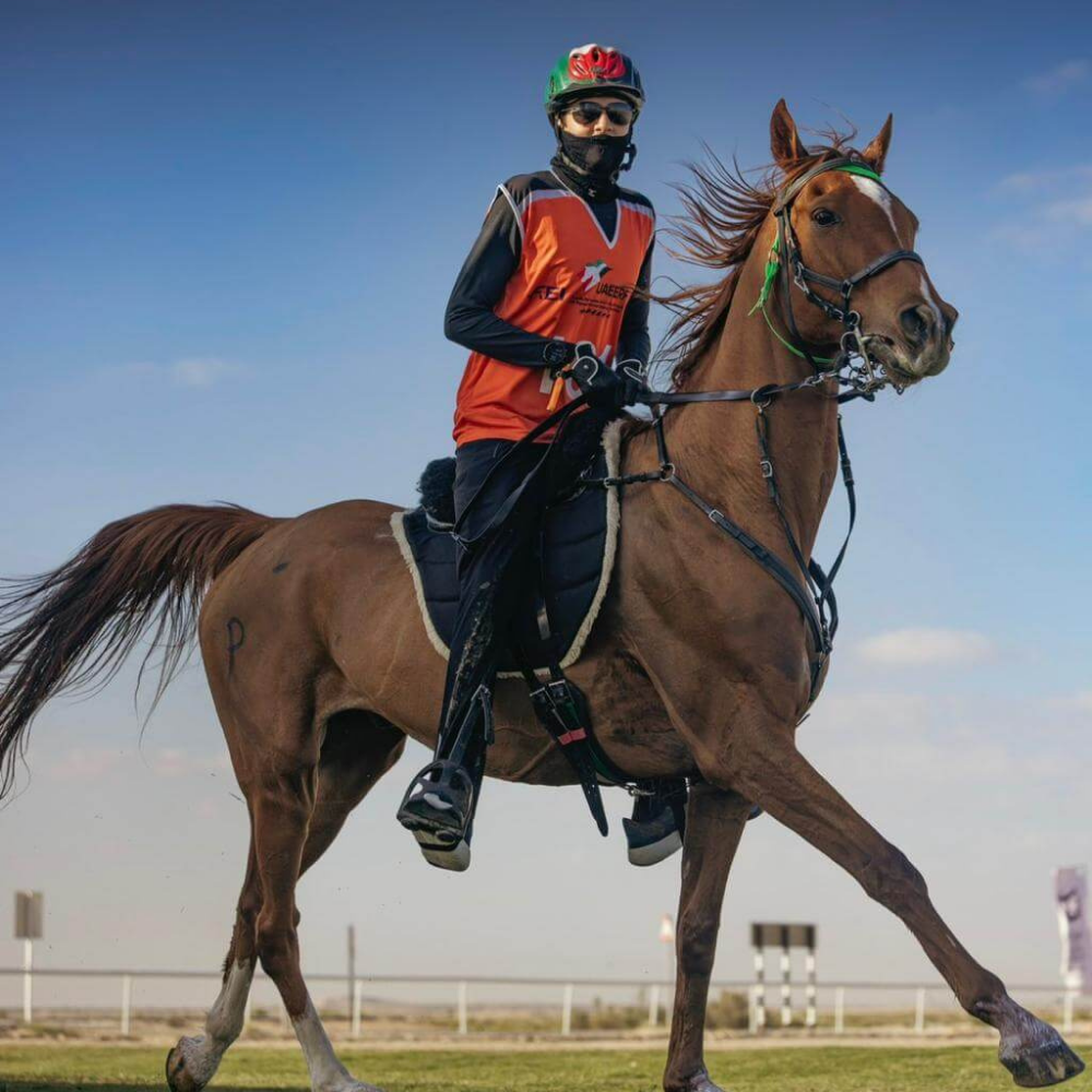 Rider in A1F Adventure Riding Mask on a horse, showcasing equestrian performance and style.