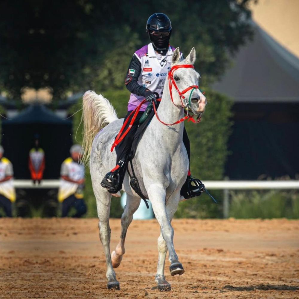 A1F Adventure Riding Mask in use by a rider on a gray horse at an equestrian event.