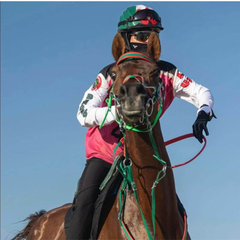 N1 RIDING MASK worn by a rider on a brown horse under a clear blue sky.