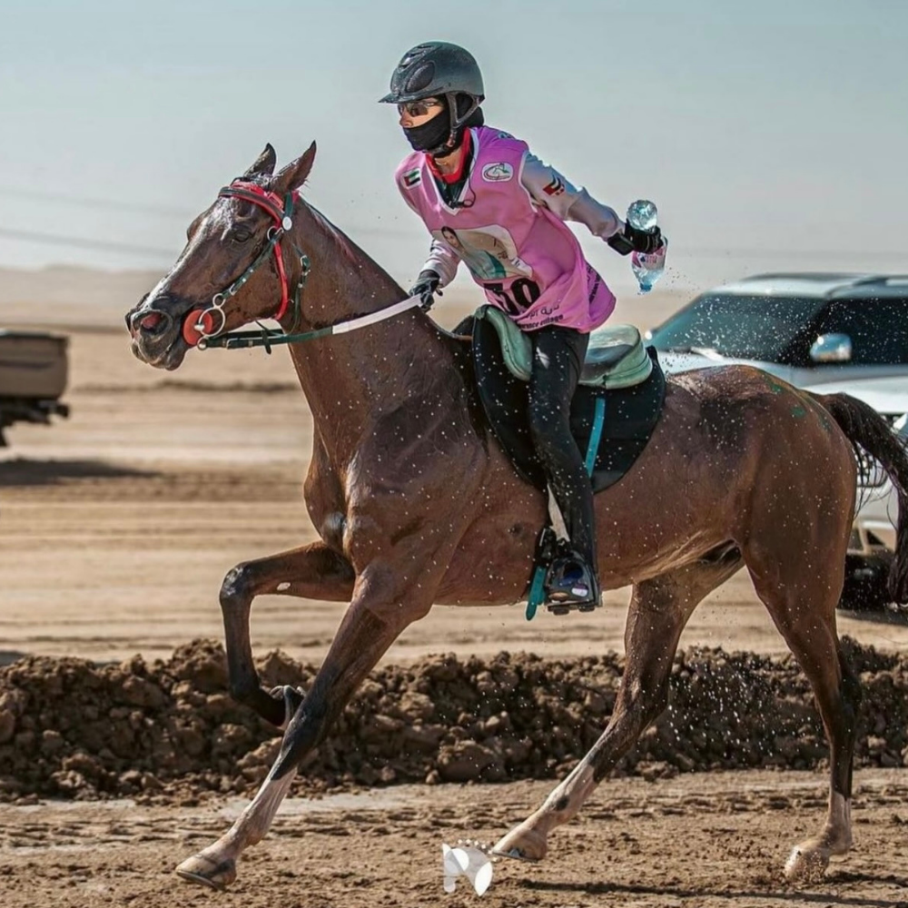 N1 RIDING MASK being used by a rider during an equestrian event in UAE.