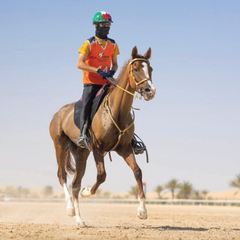 Rider wearing N3F Riding Mask on a brown horse in desert setting, emphasizing equestrian protection and performance.