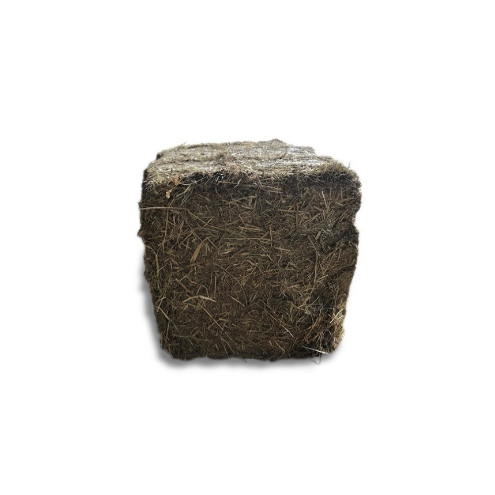 HAYPACK TIMOTHY premium Italian hay cube for horses providing highly digestible long fibre.