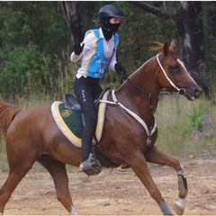 N3F RIDING MASK worn by a rider on a horse, showcasing full-coverage equestrian protection during a ride.