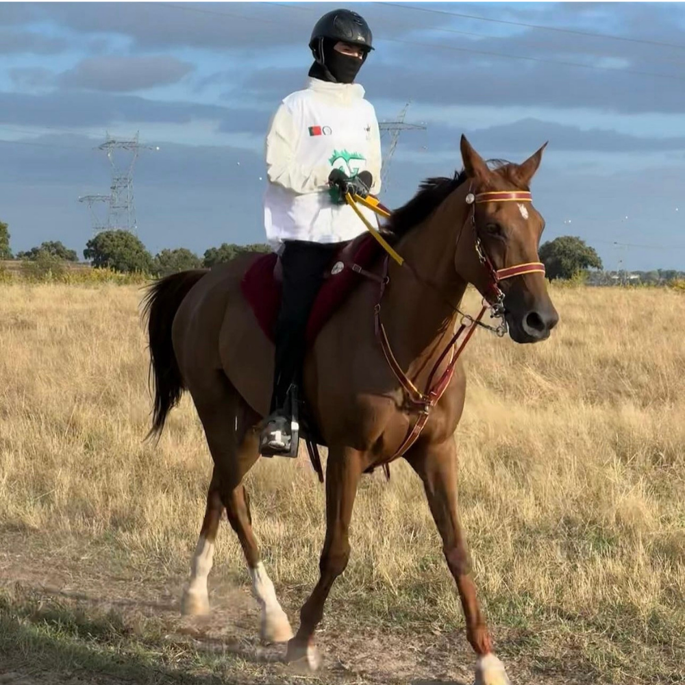 Rider wearing N3F RIDING MASK on horseback in a field, showcasing equestrian gear and horse riding.