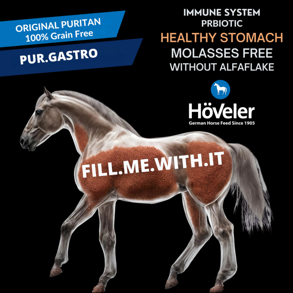 PUR.GASTRO premium grain-free horse feed promoting healthy stomach for sensitive horses.