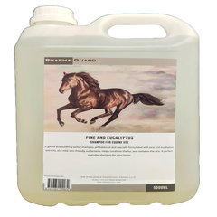 PINE AND EUCALYPTUS SHAMPOO-PG