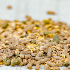 TRADITION MIX-20 KG-CAVALOR-BELGIUM