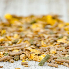 ACTION MIX-20 KG-CAVALOR-BELGIUM