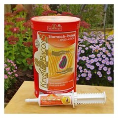 STOMACH-PROTEK SPEED ACTION - 6 قطع / PK-KB