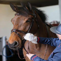 BELVOIR® TACK CLEANER MITTS-10 MITTS-CDM