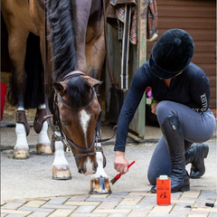 HOOF OIL-VANNER & PREST-CDM