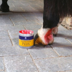 بروتكشن بلس 500 مل-سي دي ام