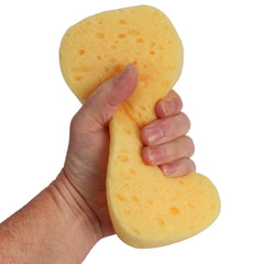 اسفنجة صغيرة