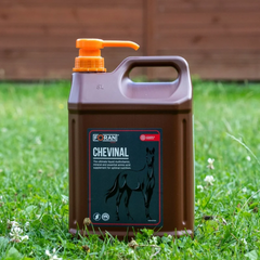 شيفينال فوران