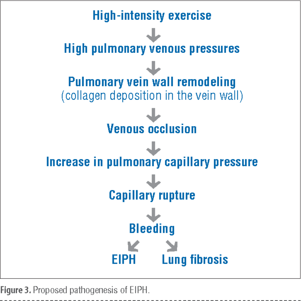 EIPH-EPUK 4563-Figure3-1