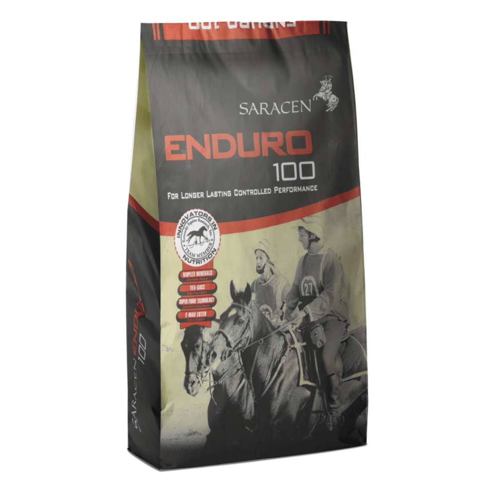ENDURO 100-SARACEN UK premium stamina feed bag for horses, designed for sustained stamina and controlled performance.