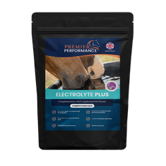 ELECTROLYTE PLUS GUT EASE-1080 G-PREMIER PERFORMANCE-UK