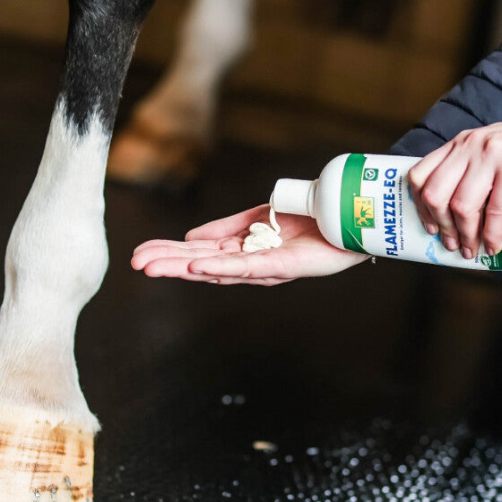 FLAMEZZE-EQ-TRM in Dubai