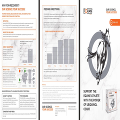 للاسترداد-30x15 G-FORAN