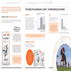 للاسترداد-30x15 G-FORAN