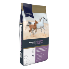 ARABIAN STUD MIX-20-KG-D&H UK | Concentrated breeding feed for Arabian mares, stallions, and youngstock.