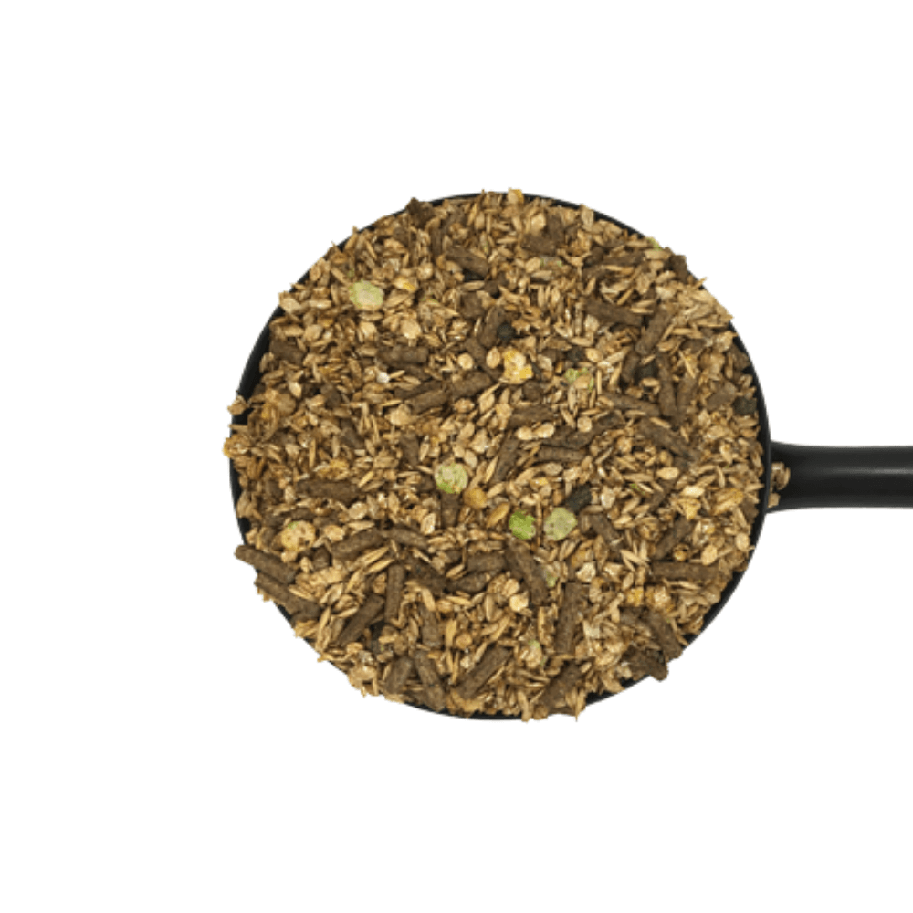 ARABIAN STUD MIX-20-KG-D&H UK in a scoop, showcasing the concentrated breeding feed for horses.