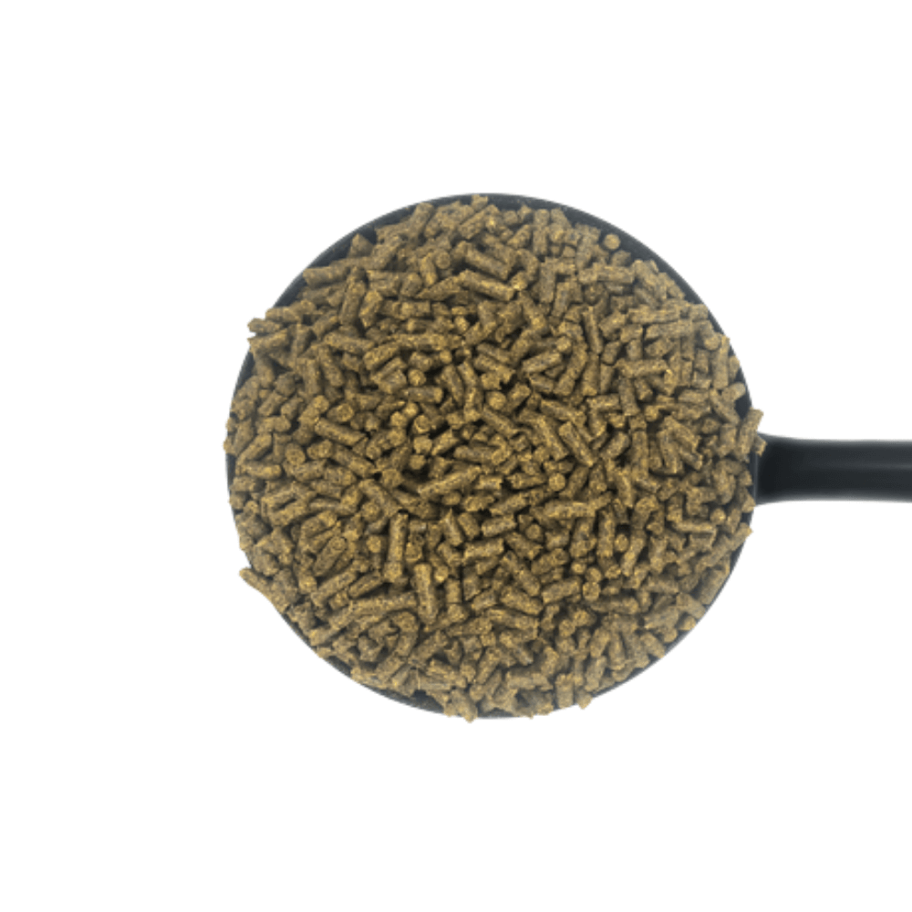 ERS CUBES-20-KG-D&H UK in a measuring scoop, showcasing low-starch feed pellets for horses.