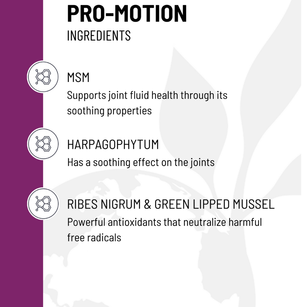 Pro Motion ingredients infographic highlighting MSM, Harpagophytum, and Ribes Nigrum & Green Lipped Mussel for joint health.