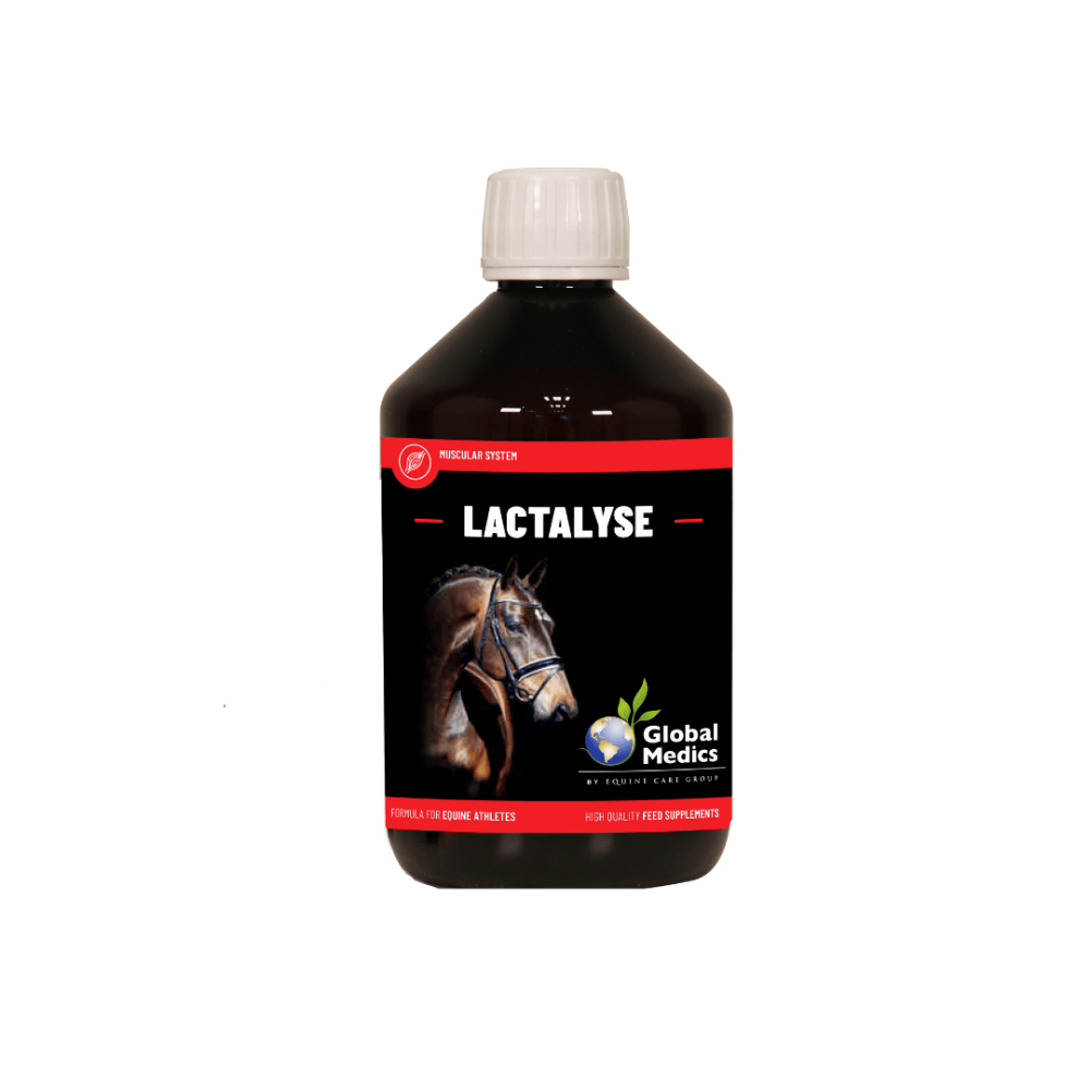 Lactalyse liquid supplement bottle for equine muscle support by Global Medics.