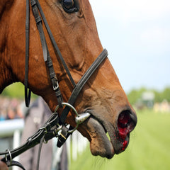 HEMOREX biophlavonoid complex + vitamin C + vitamin K, 3