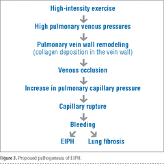 HEMOREX biophlavonoid complex + vitamin C + vitamin K, 4