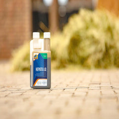 HEPATO LIQUID-250 ML-CAVALOR