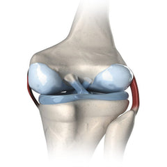 PALA MOUNTAINS EQUINE-BONE & JOINT-2.5 L-NEW ZEALAND