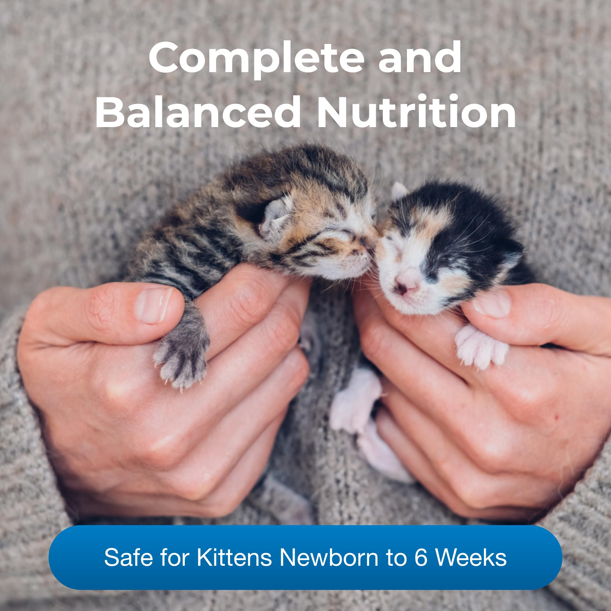 Two small kittens being held by a person with text about complete and balanced nutrition for kittens.