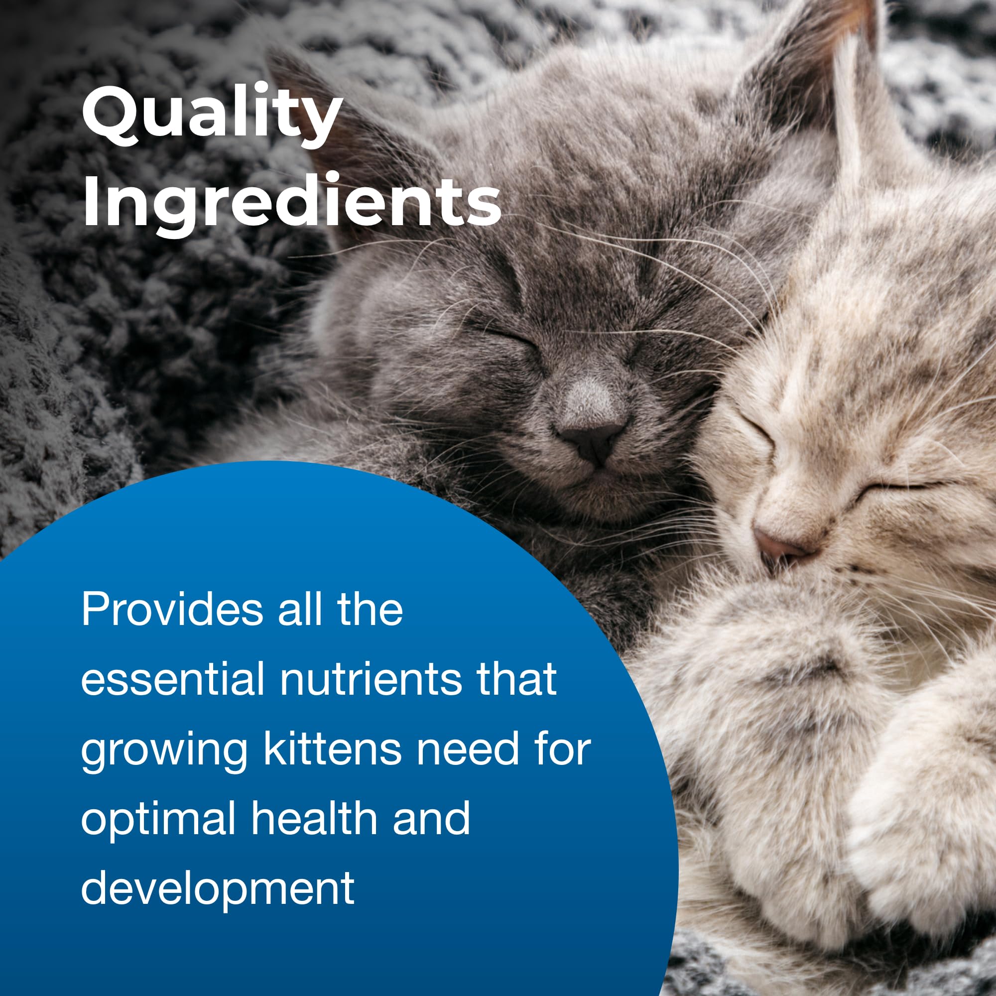 Two kittens sleeping together with text about quality ingredients for kitten health.