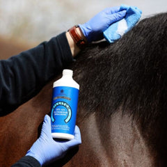 كيلتش®-500 مل-سي دي إم