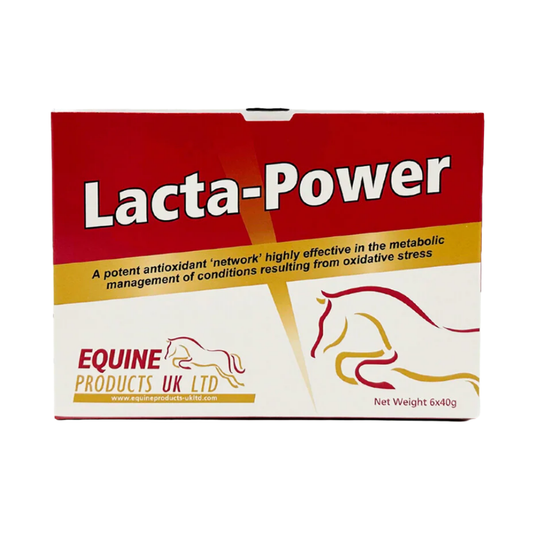 Lacta-Power Equine supplement packaging on a white background