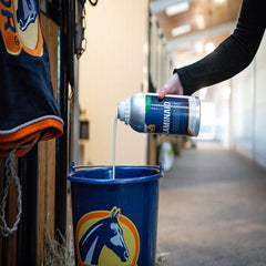 لامينايد-1 إل-كافالور