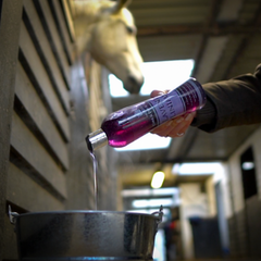 مرهم اللافندر - 500 مل - CDM