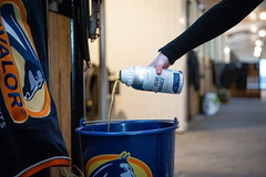 أداء الذروة - 500 مل - كافالور