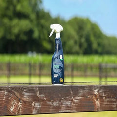 برو سينت - 500 مل - كافالور